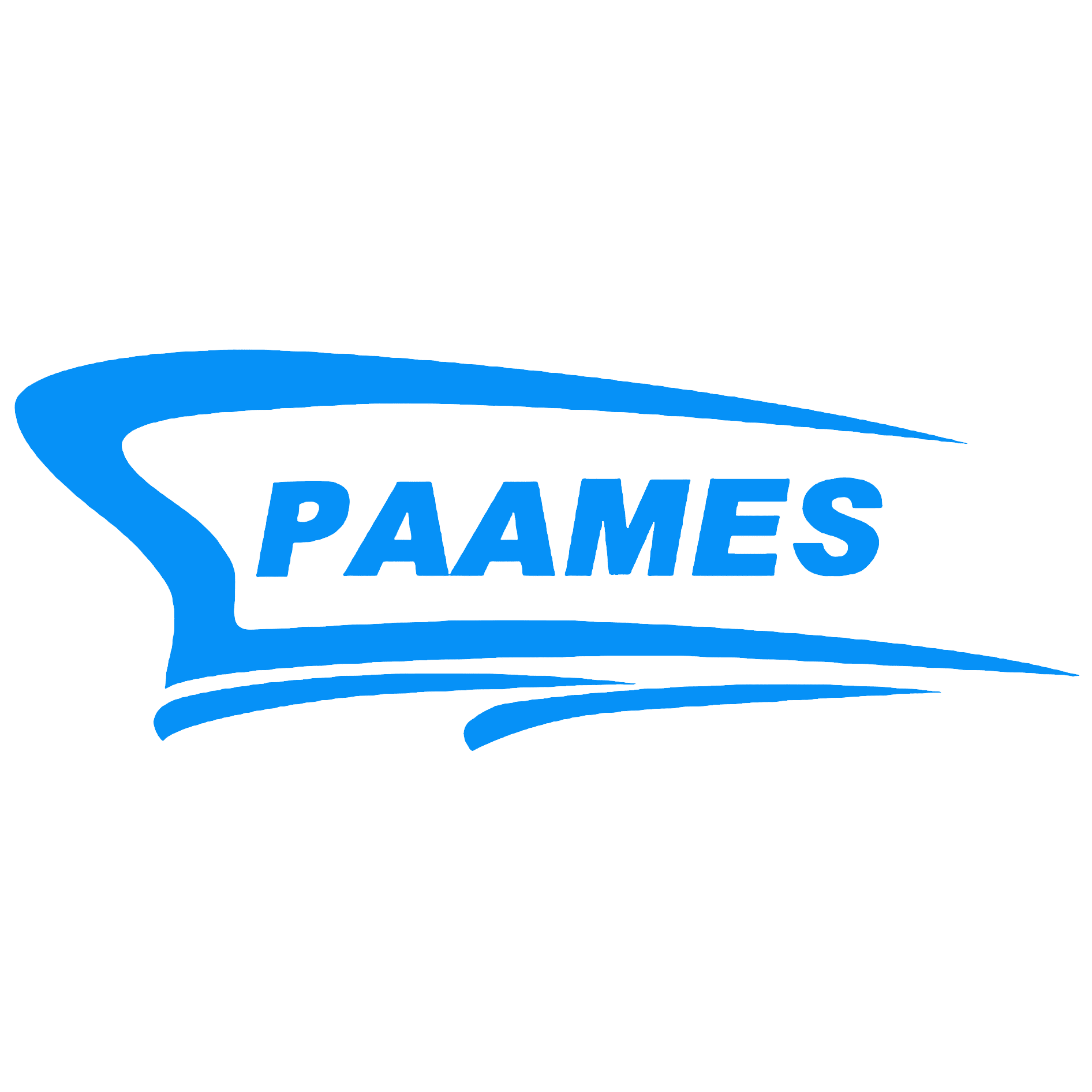 PAAMES Forum & AMEC 2025 Banner